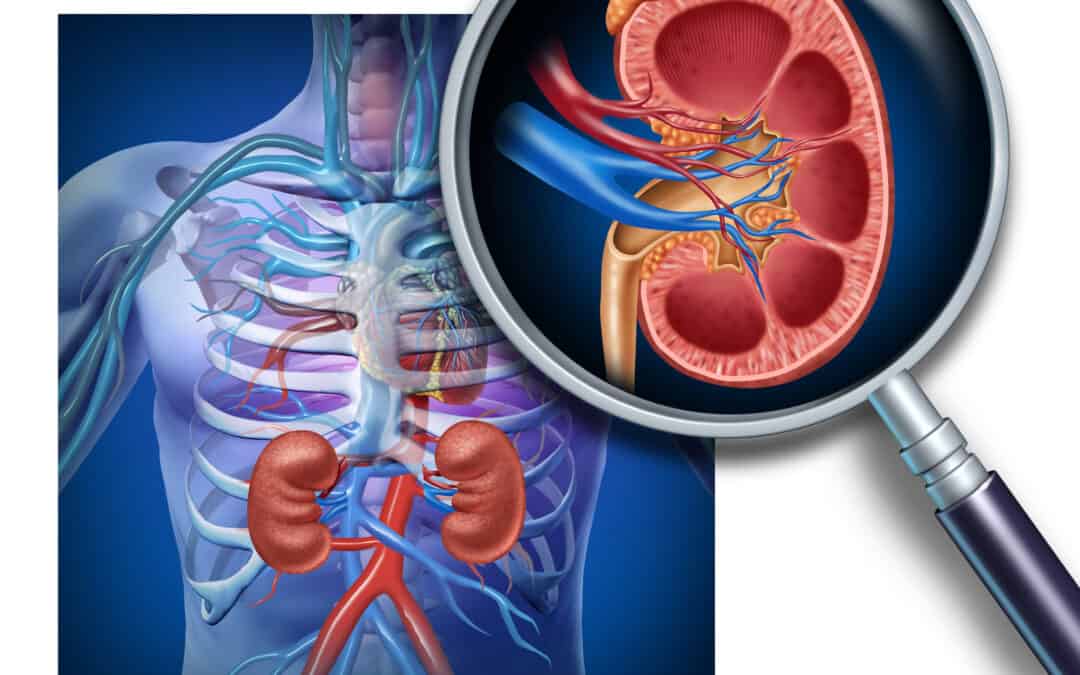 Hypertension and CKD Clinical Study flyer